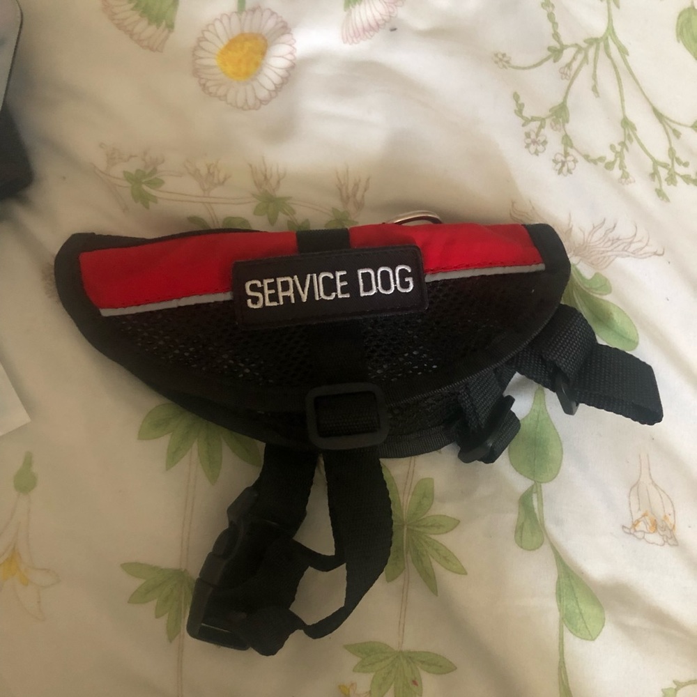 Service dog vest